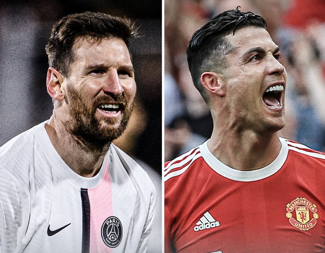 免的挑战 免的挑战